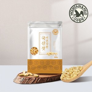 산과들에 국산백잣500gx1봉 / 신선한 견과류, 500g, 1개