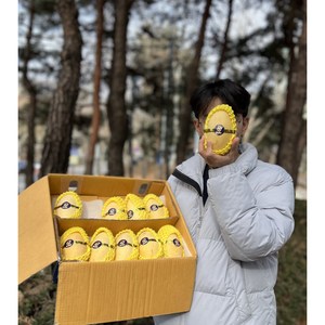 프리미엄 태국 골드망고 고당도 남독마이, 1개, 2kg(4-6과) 가정용