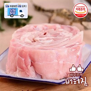 (배터짐) 보신용 특미 악어고기 (순살) 꼬치용 숯불구이, 1개