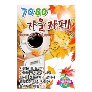 [더올스] 정품 USB / SD 7080 가을카페, USB(차량용)