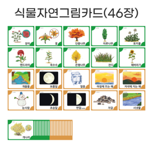 아이다보아 사물그림카드 낱말카드 한글카드 유아 첫카드, 식물자연세트(46장), 1개