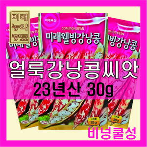 국산 얼룩 강낭콩 씨앗 30g -비넝쿨성품종 bean seeds, 1개