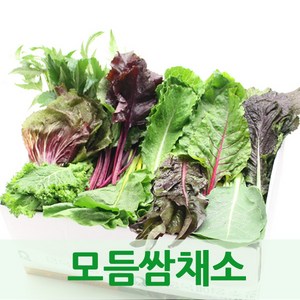 싱싱한 모듬쌈채소2kg 7-9종채소모음 웰빙푸드, 모듬쌈채소2kg내외, 1개