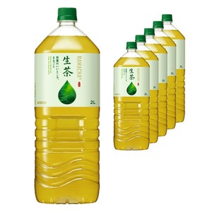 KIRIN 나마차 페트, 6개, 2L