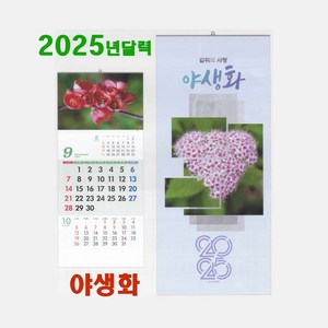 2025 달력 길위에사랑1-24 야생화달력 들꽃 꽃 커플 달력 디자인 포토캘린더, 1개, 345x 780 3단벽걸이