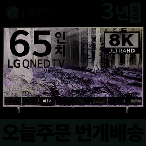 LG전자 65인치 TV QNED 8K 스마트 Mini LED 티비 65QNED99 넷플릭스 유튜브 디즈니 미러링, 5.지방권벽걸이(상하브라켓)