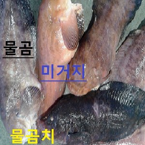 (쌍다리상회) 생물 물곰치 통마리 3-15마리 10-15kg이상 영업집용, 물곰치 통마리 3-15미 10-15kg 15인용 이상, 1개