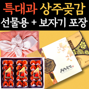 상주 반건시곶감 곶감 선물세트, 1세트, [선물포장] 상주 곶감 선물세트 3호