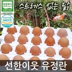 선한이웃 동물복지 유정란 40구/60구/80구 택일 친환경 무항생제 HACCP 안전관리인증 축산물 난각번호#2, 80구, 1개