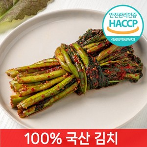[전라도찐맛] 당일제조 갓김치, 1개, 1kg