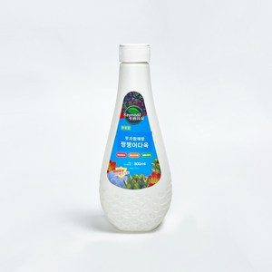 즉석분사형 다육식물전용비료 웃자람예방 짱짱이다육, 1개, 300ml