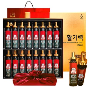 정관장 6년근 홍삼정 활기력 16세트(홍삼농축액 비타민 함량) 320g 가정의달 추석 명절 부모님 여행 선물세트 1개, 320ml, 1세트