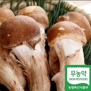 명품참송이버섯 1kg 농장에서 바로따서 보내드립니다 ., 2개