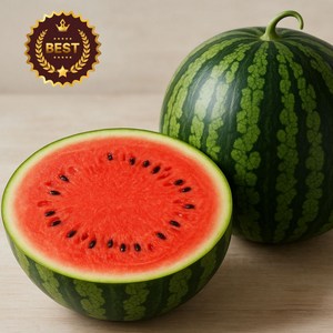 [고당도 12bix] 국내산 꿀 수박 당도선별 하우스, 1개, 못난이 꿀 수박 6-7kg 내외