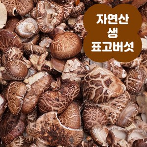 경북청송 국내산 자연산 생 표고버섯 국산 참나무 표고버섯, 1개, 200g(건표고)