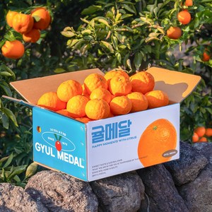 22브릭스 초고당도 신품종 제주 신비향 제주 산지직송, 1박스, 2kg (사이즈 혼합)
