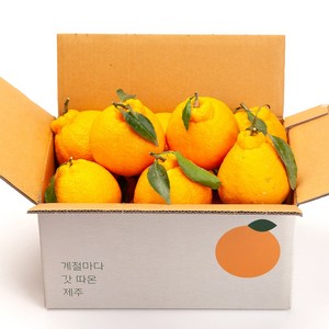 깨비농원 제주 한라봉 2.5kg, 한라봉 2.5kg 중과(9-12과), 1개