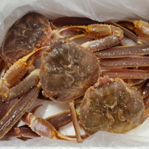 활대게 90% 수율보장 러시아산 박달대게, 1개, 1kg 내외