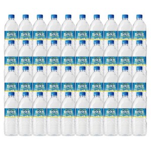 지리산 산청 샘물 화이트 생수500ml 40개입, 40개, 500ml