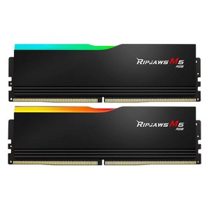 G.SKILL DDR5-6000 CL36 RIPJAWS M5 RGB 블랙 패키지 (32GB(16Gx2)), 1개, 6000 CL36 RIPJAWS M5 RGB