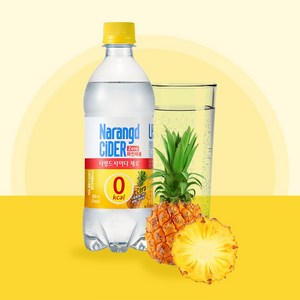 나랑드사이다 제로 파인애플 500ml 20페트, 2박스