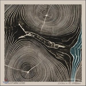 NEEDTOBREATHE - Rives in the Wasteland EU수입반, 1CD