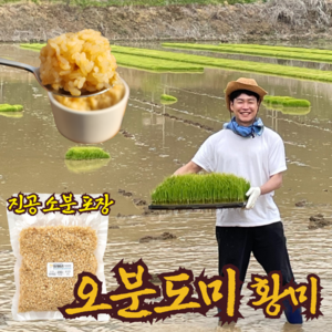 오분도미 오분도미쌀 삼시세끼 오분도쌀 5분도미 황미 진공포장 쌀눈 쌀리버리 황미쌀, 1kg, 1개