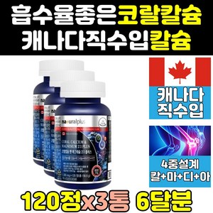 코랄 칼슘 칼마 칼디 플러스 칼맥디 고칼슘 나노 3통 프리미엄 캐나다 플러스디 칼슘제 칼슝 캐나다산 칼디엠 이온 칼마그 비타민d 마그네슘 골드 칼마비 고칼디 칼마그디 아연 고함량, 3개