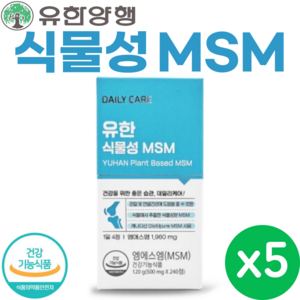 유한 양행 식물성 MSM 240정 식이유황 캐나다산 식물 성분 엠에스엠 MSN 관절 연골 건강, 5개