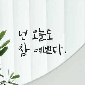 모노먼트 거울 현관문 옷가게 화장실 욕실 카페 캘리그라피 레터링 스티커 - 넌 오늘도 참 예쁘다, LC-016, 연핑크