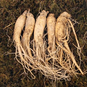 박수근 금산인삼 6년근 파삼 난발삼 원수삼 500g, 1개, 원수삼(왕대)500g