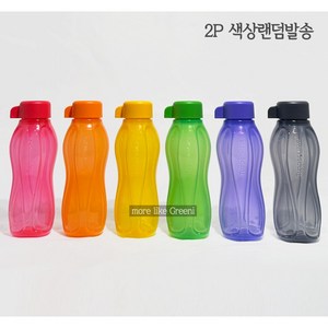 타파웨어 에코 물병 물통 310ml 랜덤 2P