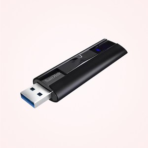 샌디스크 Exteme PRO USB 3.2 Gen1 솔리드 스테이트 플래시 드라이브 CZ880, 256GB, 1개