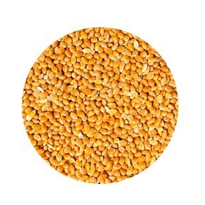 새사료 새모이 새먹이 곡물 적기장, 5kg, 1개
