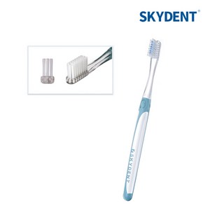 24 Medium 미디엄 칫솔 치솔 작은칫솔 헤드작은칫솔 중간모 SKYDENT, NO.24 M, 1개, 1개입