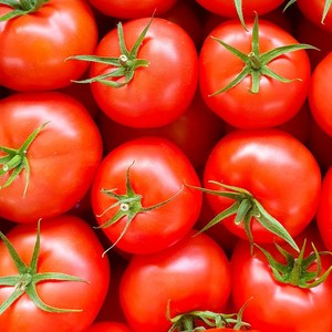 [찰지고 맛있어요] 논산 스마트팜 완숙 찰 토마토 쥬스용 간식용 샐러드용 tomato, 5kg, 1박스