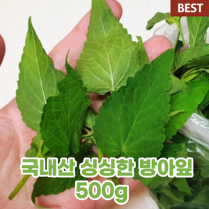 국내산 국산 노지 방아잎 500g 배초향 곽향 여름 허브 향이 진한 생 방아 나물 무침 몸에 좋은 제철 프리미엄 건강 음식, 1개