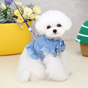 강아지 하네스 청자켓 프릴 디자인 간절기코디 캐주얼 꾸안꾸 리본 포인트 색상 2종, 연청(라이트블루)