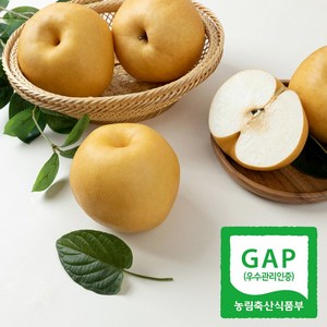 [달찐과일] GAP공식 당도선별 고당도 나주배 (나주 산지직송), 나주배 가정용 5kg (10-12과), 1박스