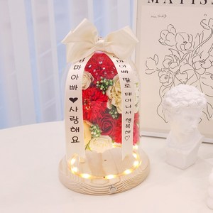 미니화환 카네이션 유리돔 무드등 어버이날 부모님 생신 감사 축하 선물, 레드, 1번문구