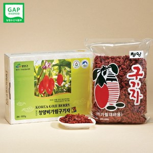 청양구기자농협 GAP우수관리인증 비가림구기자 건구기자 300g, 1개