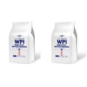 원데이뉴트리션 무맛_단백질 쉐이크 헬스 보충제 포대 분리 유청 웨이프로틴 WPI, 1.3kg, 2개