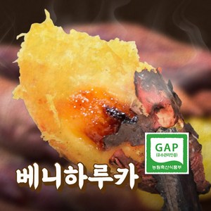 에이푸드 해남 꿀고구마 농장직송, 1개, 특상 3kg