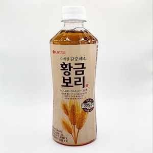 롯데 오늘의차 황금보리, 500ml, 48개