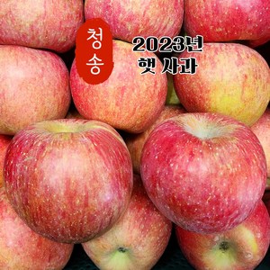 [산지직송 당도선별] 햇사과 청송 꿀 사과 2kg 3kg 5kg 10kg 중과 [정품 가정용], 01. 가정용 2kg, 1개