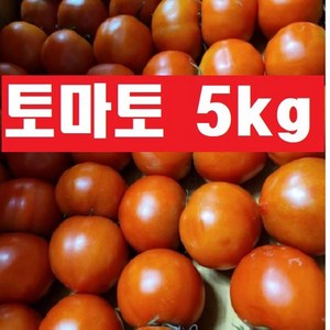 토마토5kg( 정품(크기랜덤), 1개