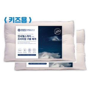 연세생활건강 3단 높낮이 특허 프리미엄 구름베개 + 베개 커버 증정, 2개
