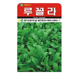 루꼴라 씨앗 2000립, 3개