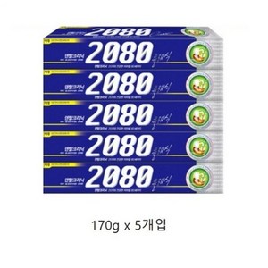 2080 클래식치약, 170g, 5개