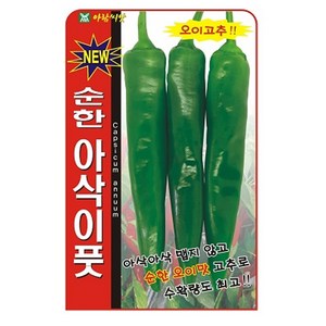 풋고추 씨앗 50립 순한 아삭이풋 고추 종자 씨 오이고추 봄 여름 가을 고추씨 AR, 1개